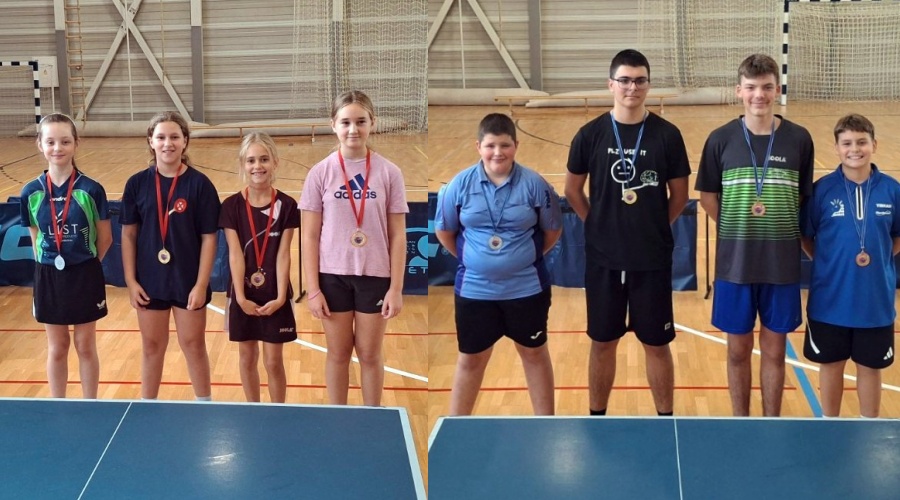 Stolnotenisači Brovinja