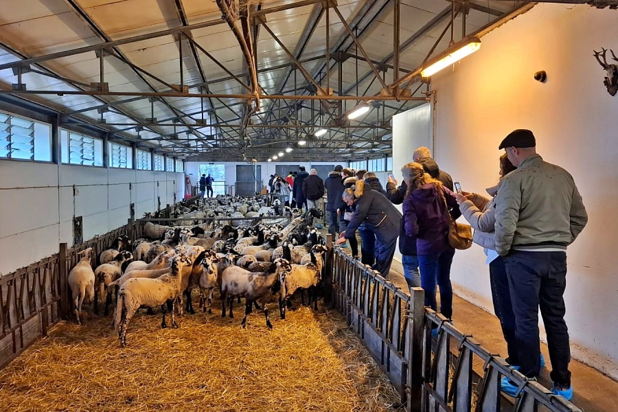 LAG ISTOČNA ISTRA - CARSO