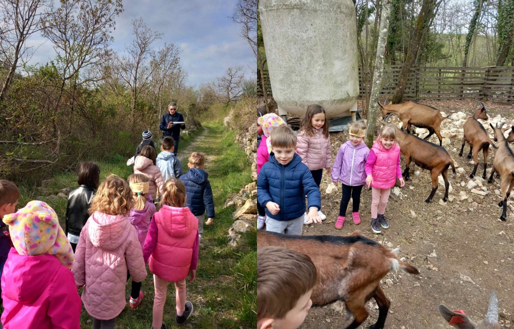 Terra Fameja - Kranjci staza svetog Flora