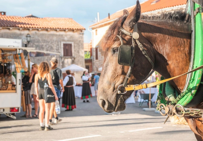 Zadnje ovogodišnje izdanje manifestacije ''Enjoy & Explore Barban Tradition''