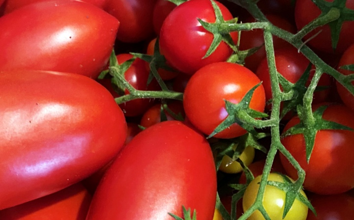 Općina Sveta Nedelja objavila natječaj za potpore u poljoprivredi i ruralnom razvoju: Zahtjevi do 25. rujna
