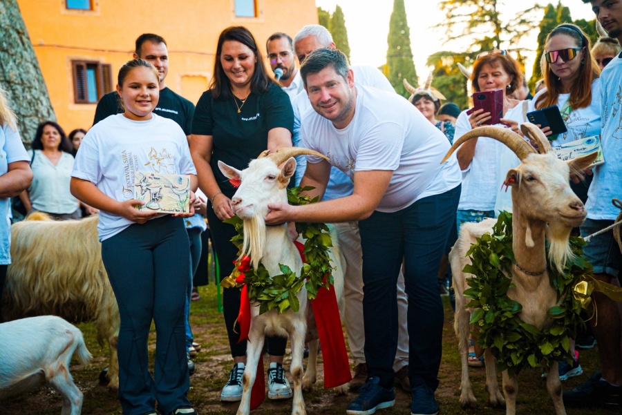 Festival sira u Svetvinčentu okupio sirare iz Istre i regije, izabrana i naj koza Istre